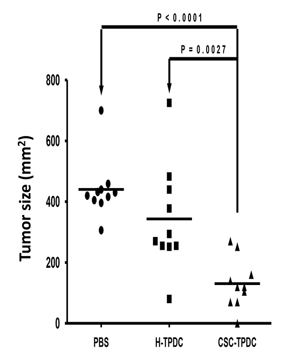 Tumor size comparison graph; PBS, H-TPDC, CSC-TPDC treatment effects; statistical significance.