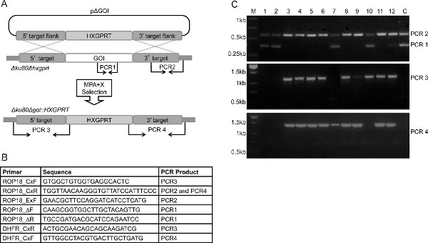 figure-results-2 figure-results-2