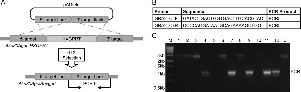 figure-results-3 figure-results-3