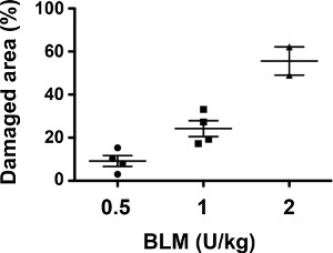 Damaged area vs. BLM dosage graph; data analysis on biological damage percentage across doses.