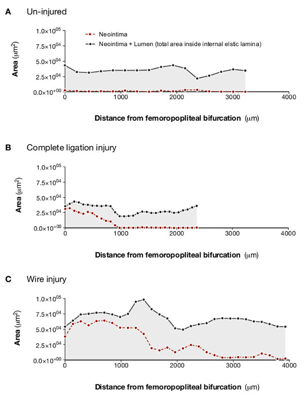 figure-results-5 Vascular injury graph; neointima area vs. distance; un-injured, ligation, wire injury comparison.