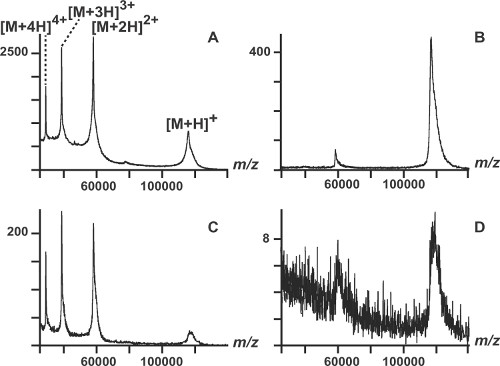 Mass spectrometry analysis; m/z spectra comparison, peptide deconvolution, charge state distribution.