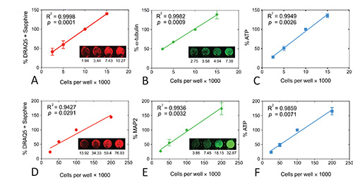 figure-results-3 Cell viability analysis charts, cells per well against viability metrics, experimental results.