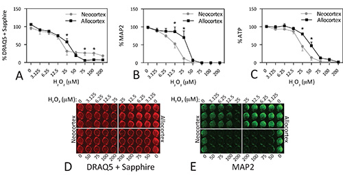 figure-results-5 Line graph analysis of neocortex vs allocortex; viability assay; concentration effect in μM.