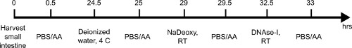 figure-results-1 Timeline diagram of small intestine processing; PBS/AA, NaDeoxy, DNase-I treatments included.