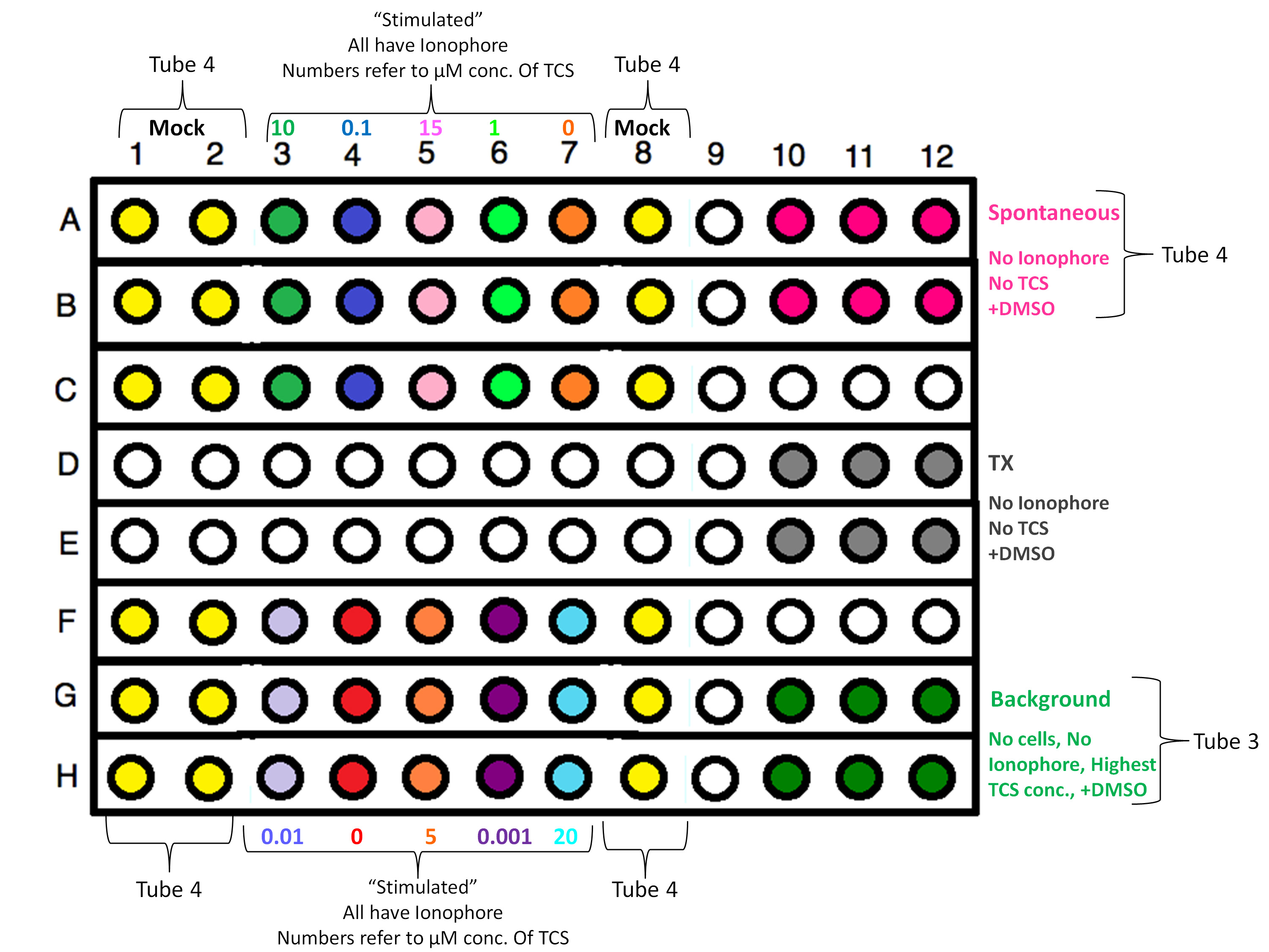 Microplate assay diagram showing ionophore effects at varied TCS concentrations for cell analysis.