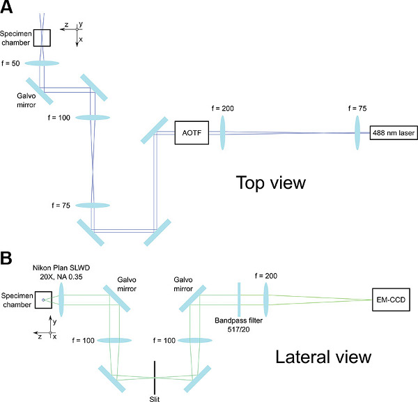 figure-results-1 figure-results-1