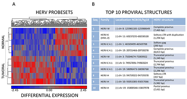 Differential expression heatmap of HERV probesets in normal vs tumor tissue; top 10 proviral structures.
