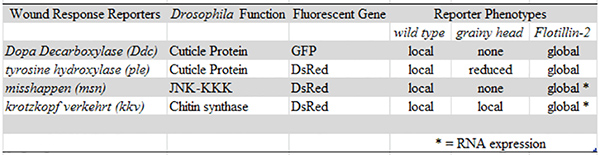 figure-results-4 figure-results-4