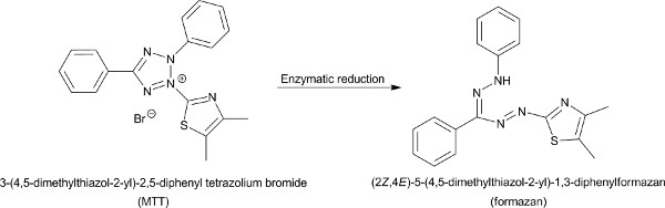 figure-results-1 MTT to formazan chemical reaction diagram; enzymatic reduction process, molecular structure.