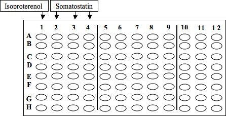 figure-results-2 Microplate layout, antibody interaction diagram, high-throughput screening, cell analysis.