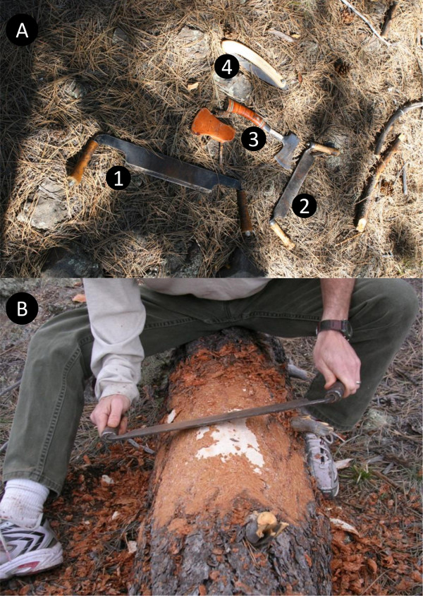 Woodworking tools and stripping bark process; hand tools, peeling timber log with drawknife.