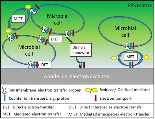 figure-results-8 Microbial electron transfer diagram; MET, DET, MIET, DIET pathways; electron transport analysis.