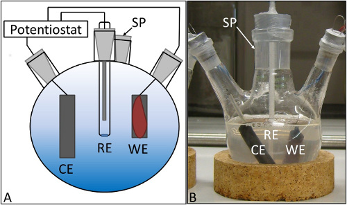 figure-results-10 Electrochemical cell diagram and photo with potentiostat, electrode setup; CE, RE, WE labeled.