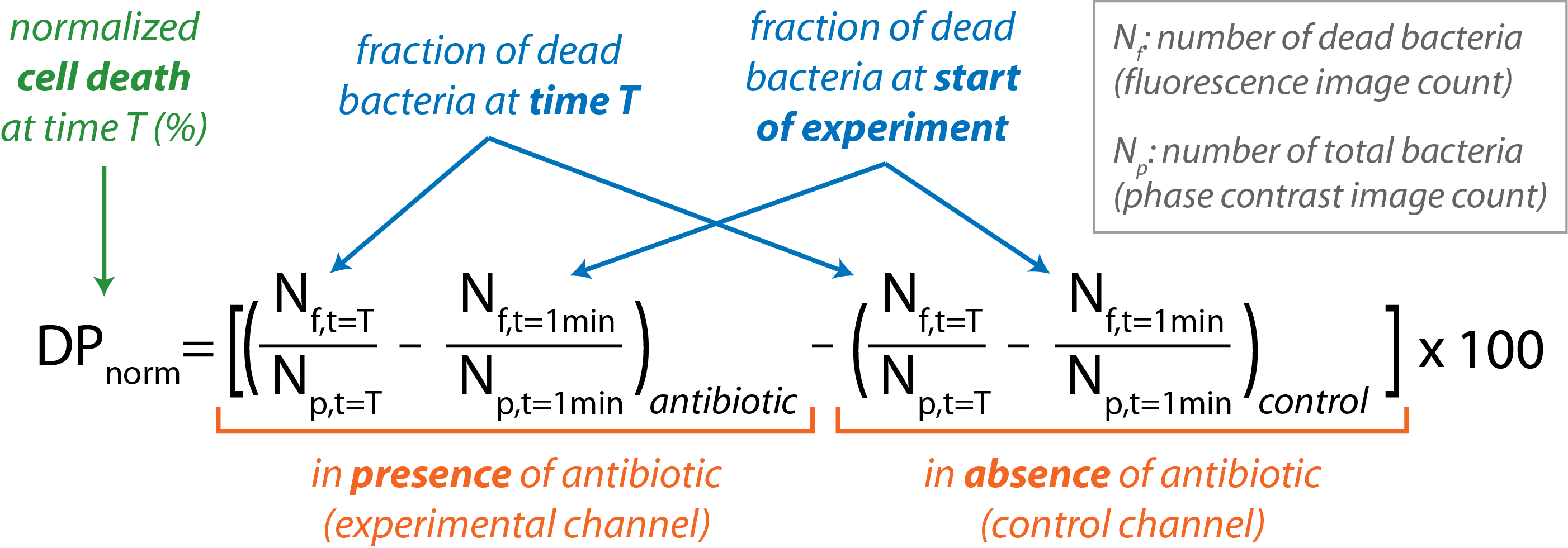 Bacterial cell death analysis diagram; antibiotic presence vs. absence; fluorescence counts.