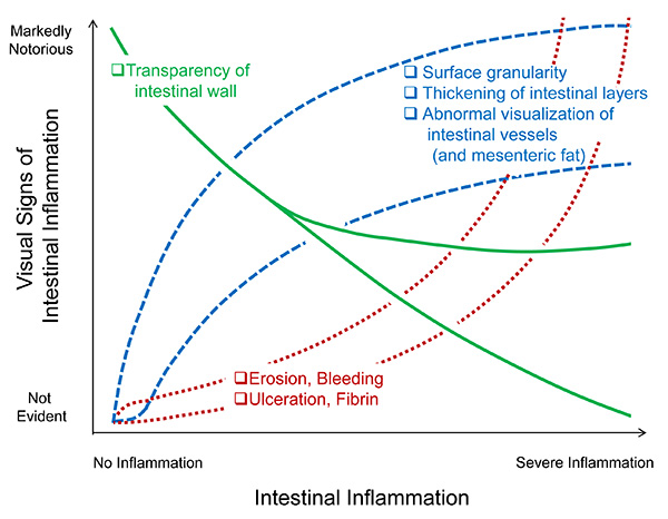 figure-results-7 Intestinal inflammation severity graph; transparency, granularity, and erosion indicators.