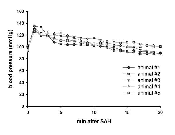 figure-results-2 Blood pressure vs. time graph post-SAH; comparison among five animals, showing pressure variations.