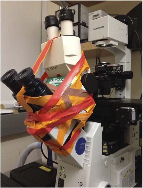 figure-results-4 Confocal microscope setup for fluorescence imaging with DIY repairs using colored tape.
