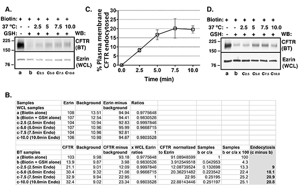 figure-results-1