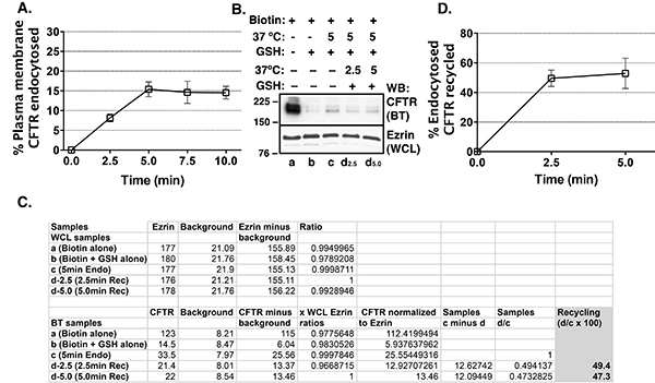 figure-results-2