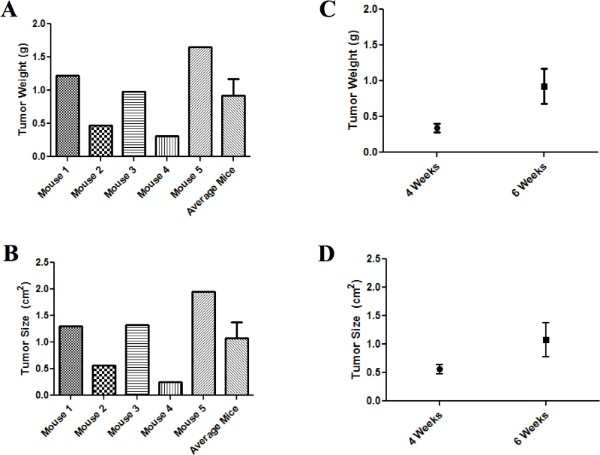 Tumor growth data: weight/size charts, mice experiment, weeks comparison, research visualization.