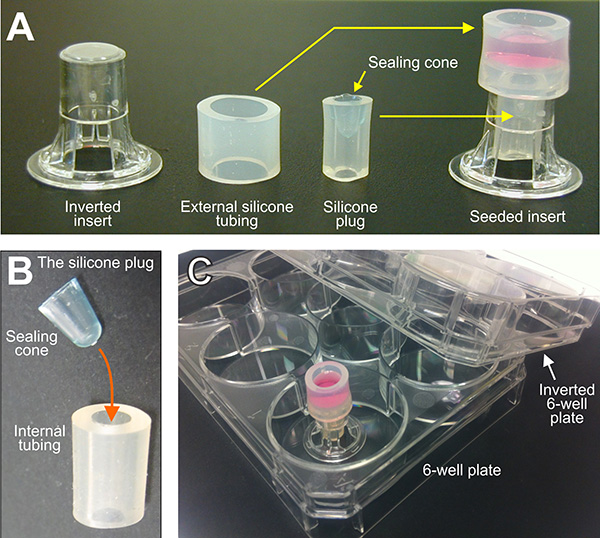 Cell culture setup with silicone tubing and plug, inverted insert, 6-well plate in diagram.