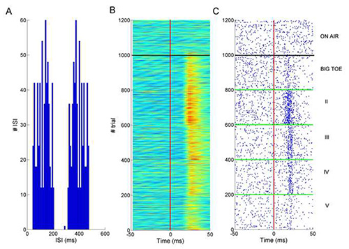figure-results-3 Neural spike analysis chart with histograms, heatmap, and scatter plot for temporal measurement.