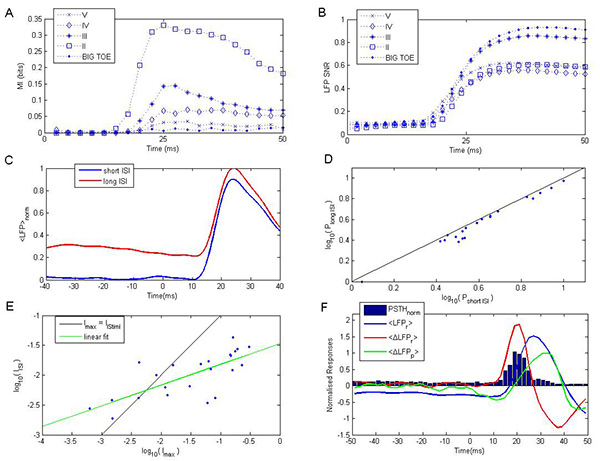 figure-results-4 Neural response analysis graphs showing signal data trends and fitting comparisons in experiment results.