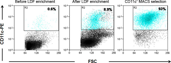 Video: Isolation of Myeloid Dendritic Cells and Epithelial Cells from ...
