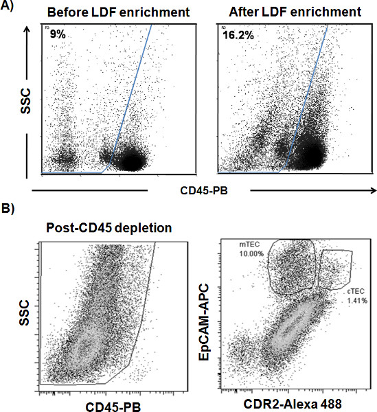 Flow cytometry diagrams showing LDF enrichment, CD45 depletion; analysis of cell subsets.