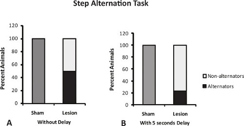 Step alternation task results; bar graph comparing sham vs lesion with delay variations.