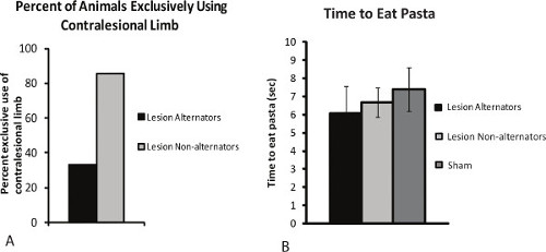 Bar charts comparing limb use and pasta eating times between lesion alternators and non-alternators.