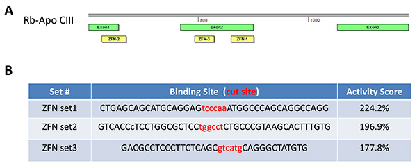 figure-discussion-2 Gene editing diagram; zinc finger nuclease binding sites with activity scores table.