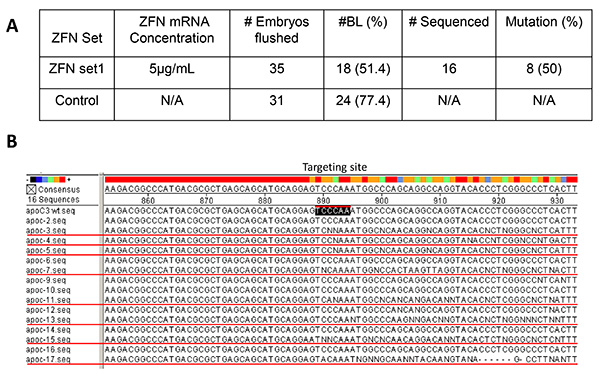 figure-discussion-3 ZFN gene editing analysis; table of embryo data, targeting site sequence alignment and mutations.