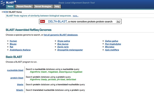 BLAST database interface for protein alignment search, showing genomic selection options.