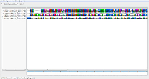 Multiple sequence alignment analysis diagram; genetic sequences comparison, bioinformatics tool.