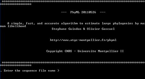 Phylogenetic analysis setup using PhyML algorithm; sequence input for evolutionary study process.