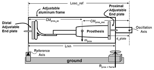 Prosthesis vibration diagram with adjustable aluminum frame and end plates; oscillation axis setup.