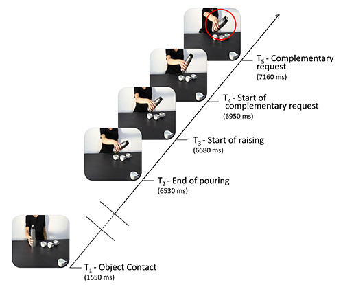 Timeline of object interaction, complementary action stages, sequential photos, behavioral analysis.