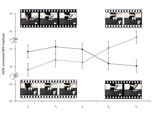 Static equilibrium process, graph with MEP amplitude analysis, video frames depict motion experiment.