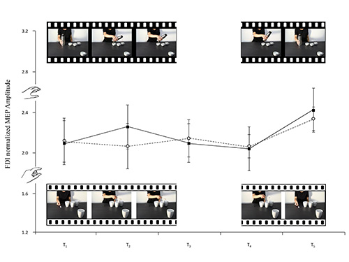 FDI amplitude vs. time graph with visual stimuli, analyzing motor response in neuroscience experiment.