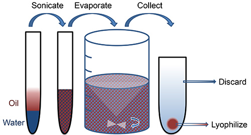 figure-results-1 Oil and water separation process; sonication, evaporation, collection; lyophilization diagram.