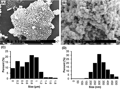 figure-results-2 Nanoparticle structure (SEM) and size distribution (μm, nm), comparative analysis chart.