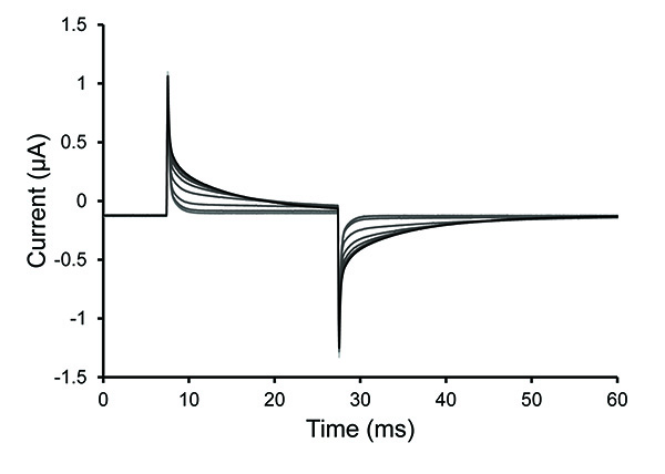 Electrochemical experiment graph; cyclic voltammetry showing current vs. time response curve.