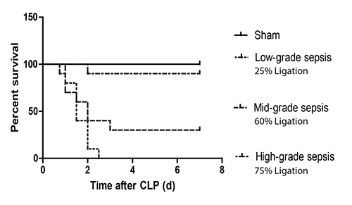 Survival analysis graph; sepsis severity impacts survival post-CLP; statistical comparison.