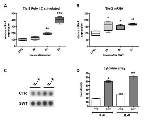 Tie-2 expression box plots and cytokine array; IL-6, IL-8 protein pixel density analysis.