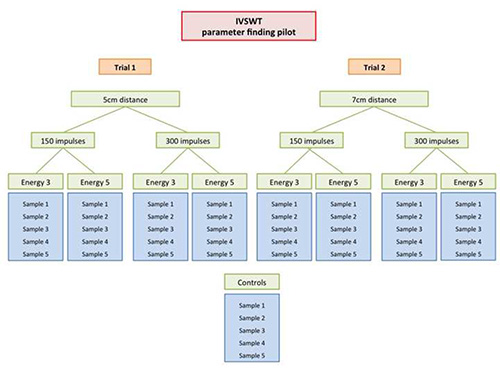 IVSWT parameter finding pilot diagram; trial setup with impulse variations and energy levels.