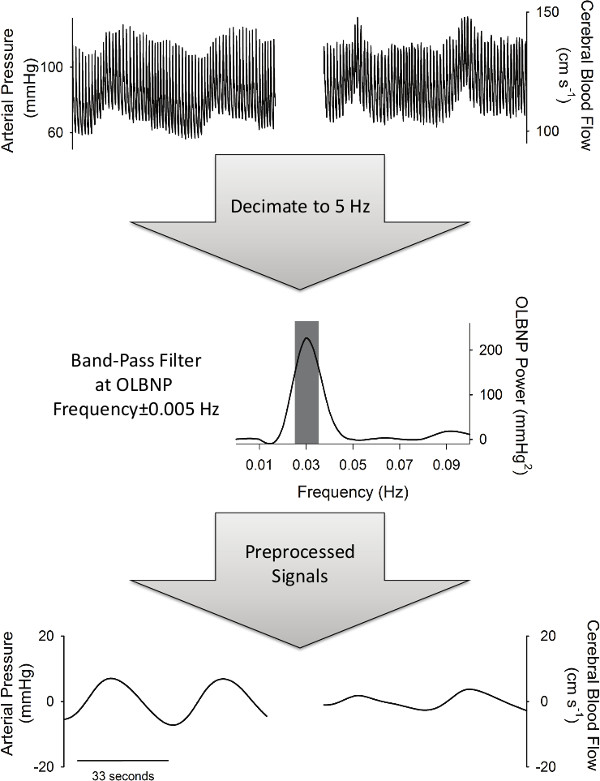 figure-results-2 Blood flow analysis, signal processing diagram, 5 Hz decimation, 0.03 Hz band-pass filtering.