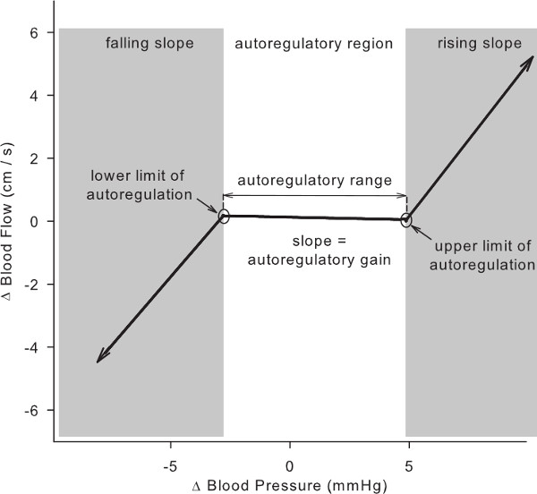 figure-results-3 Blood flow autoregulation graph; pressure vs flow; gain = autoregulatory slope; limits shown.