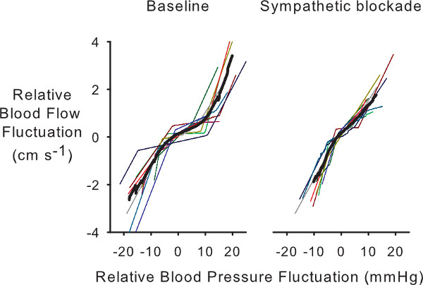 figure-results-6 Relative pressure-flow fluctuation graph, baseline vs. sympathetic blockade, cardiovascular study.